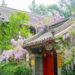 Yenching Academy