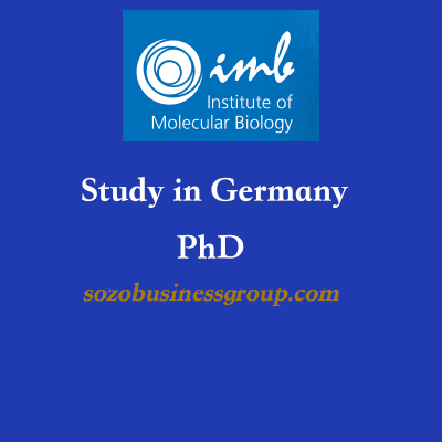 IMB PhD Program in Germany